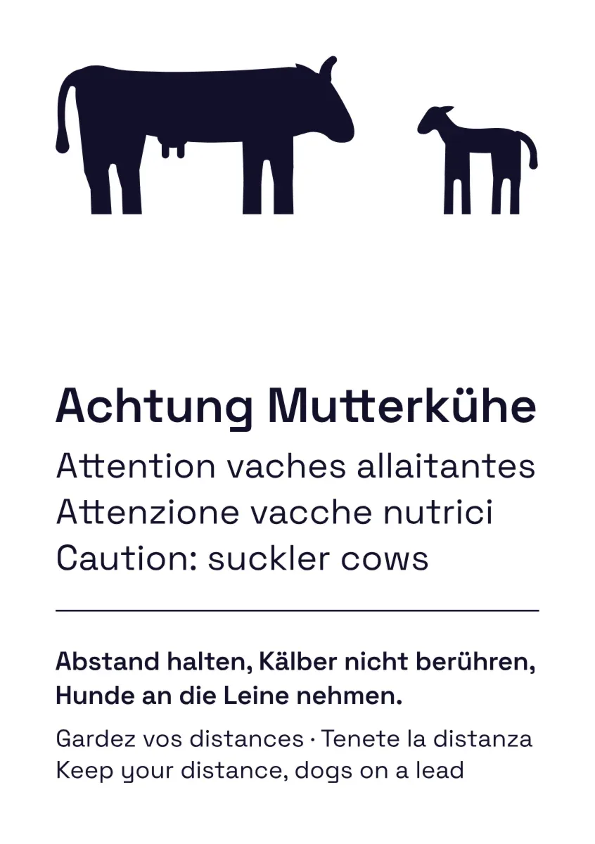 Warnschild «Achtung Mutterkühe» mehrsprachig